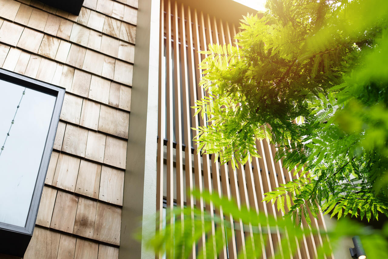 Green Siding: Eco-Friendly Home Choices